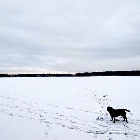 Luxury Villa Rauhankatu Rovaniemi Esterno foto